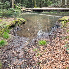 23-04-30 14-59-53 5250